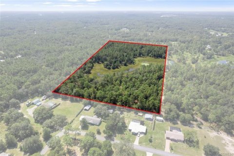 Terreno en venta en Crystal River, Florida № 1908318 - foto 2