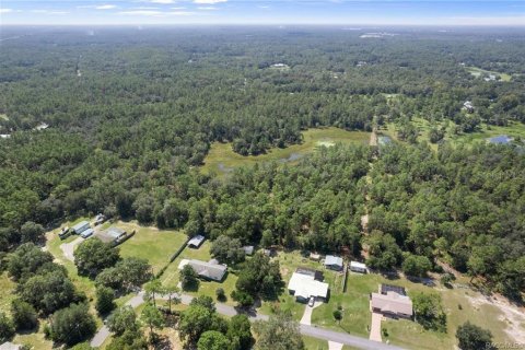 Terreno en venta en Crystal River, Florida № 1908318 - foto 10