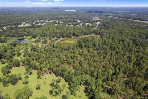 Terreno en venta en Crystal River, Florida № 1908318 - foto 7