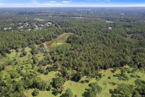Terreno en venta en Crystal River, Florida № 1908318 - foto 8