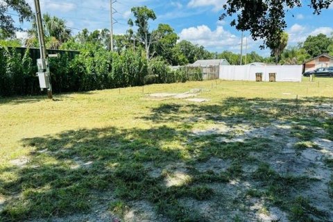 Land in Intercession City, Florida № 2229604