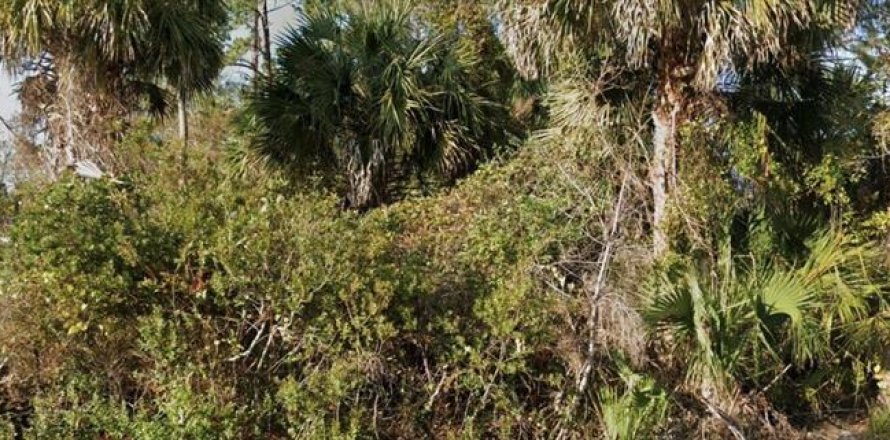 Terreno en Palm Coast, Florida № 1851252