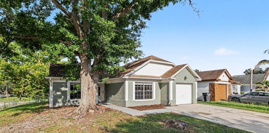 House in Valrico, Florida 3 bedrooms, 127.83 sq.m. № 2217342