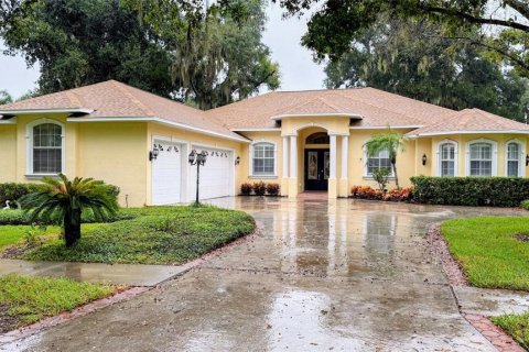 Villa ou maison à Valrico, Floride 4 chambres, 306.67 m2 № 2408138