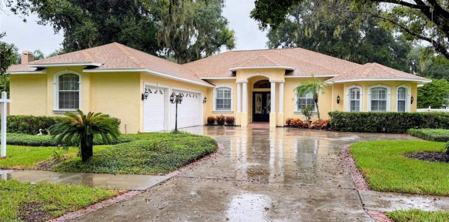 Villa ou maison à Valrico, Floride 4 chambres, 306.67 m2 № 2408138