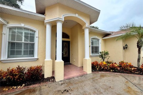Villa ou maison à vendre à Valrico, Floride: 4 chambres, 306.67 m2 № 2408138 - photo 2