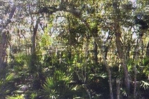 Terreno en venta en Haines City, Florida № 1781212 - foto 2