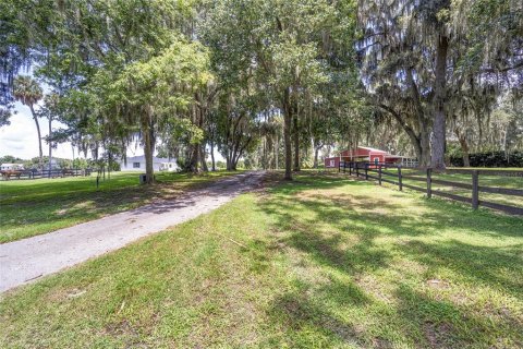 Villa ou maison à vendre à Ocala, Floride: 9 chambres, 528.15 m2 № 1308081 - photo 10