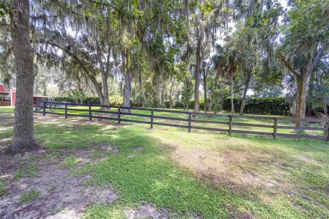 Villa ou maison à vendre à Ocala, Floride: 9 chambres, 528.15 m2 № 1308081 - photo 14