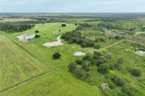 Terreno en venta en Ona, Florida № 1900147 - foto 5