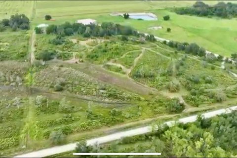 Terreno en venta en Ona, Florida № 1900147 - foto 29