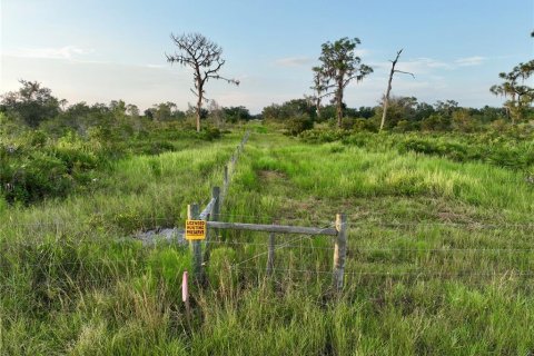 Terreno en venta en Ona, Florida № 1900147 - foto 18