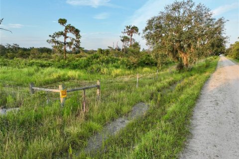 Terreno en venta en Ona, Florida № 1900147 - foto 17