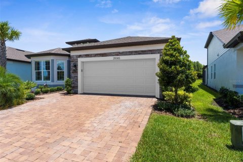 House in Land O' Lakes, Florida 2 bedrooms, 178 sq.m. № 1843749 - photo 5