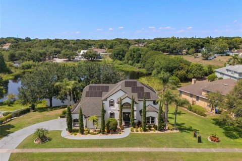 Villa ou maison à vendre à Orlando, Floride: 4 chambres, 367.24 m2 № 1771152 - photo 1