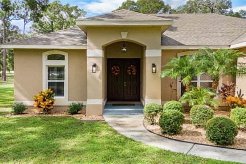 Villa ou maison à vendre à DeLand, Floride: 4 chambres, 167.78 m2 № 1914259 - photo 6