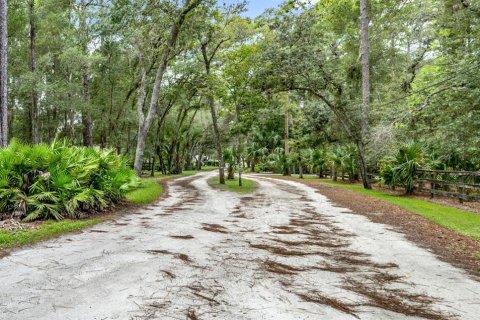 Villa ou maison à vendre à DeLand, Floride: 4 chambres, 167.78 m2 № 1914259 - photo 3