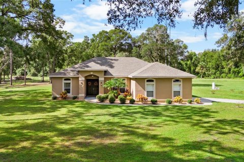 Villa ou maison à vendre à DeLand, Floride: 4 chambres, 167.78 m2 № 1914259 - photo 1