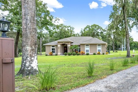 Villa ou maison à vendre à DeLand, Floride: 4 chambres, 167.78 m2 № 1914259 - photo 4