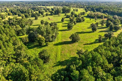 Land in Reddick, Florida № 2136037 - photo 7