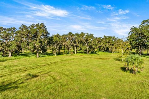 Land in Reddick, Florida № 2136037 - photo 16