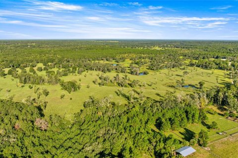 Land in Reddick, Florida № 2136037 - photo 2