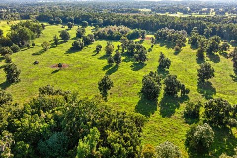 Land in Reddick, Florida № 2136037 - photo 9