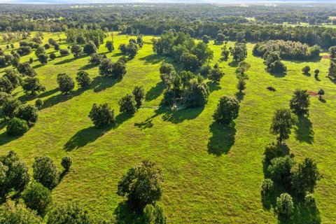 Land in Reddick, Florida № 2136037 - photo 10