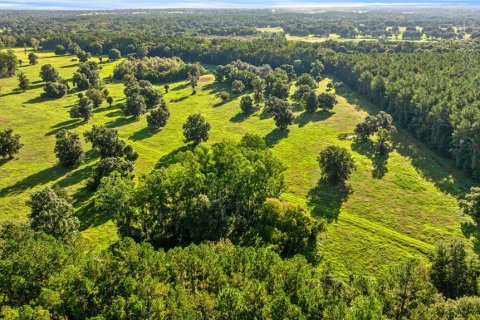 Land in Reddick, Florida № 2136037 - photo 8