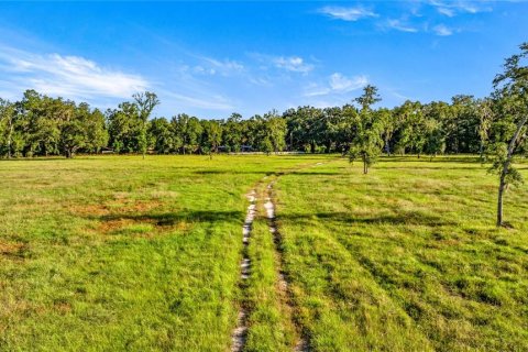 Land in Reddick, Florida № 2136037 - photo 13