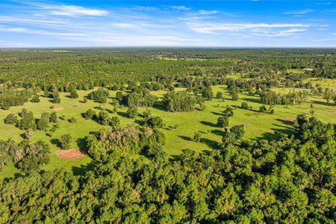 Land in Reddick, Florida № 2136037 - photo 5