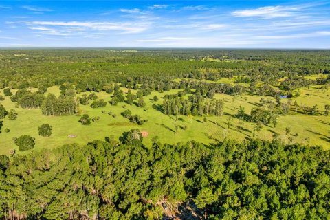 Land in Reddick, Florida № 2136037 - photo 3