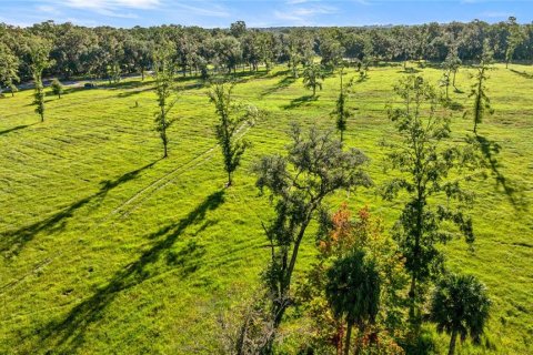 Land in Reddick, Florida № 2136037 - photo 17