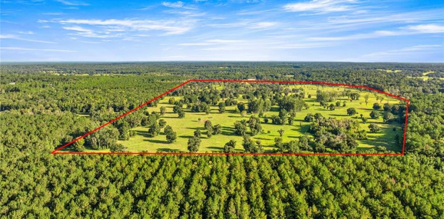 Land in Reddick, Florida № 2136037