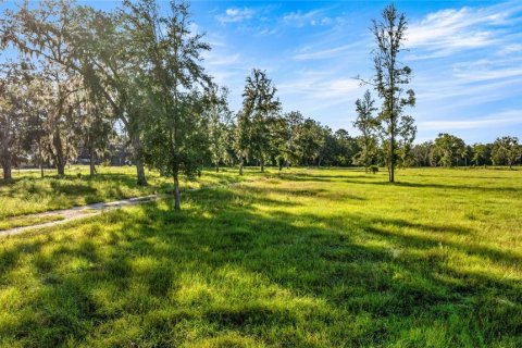 Land in Reddick, Florida № 2136037 - photo 15