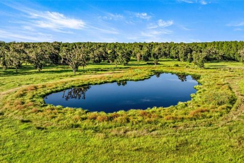 Land in Reddick, Florida № 2136037 - photo 11