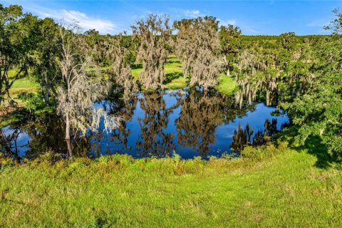 Land in Reddick, Florida № 2136037 - photo 12