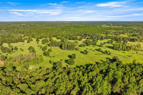Land in Reddick, Florida № 2136037 - photo 4