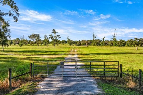 Land in Reddick, Florida № 2136037 - photo 14