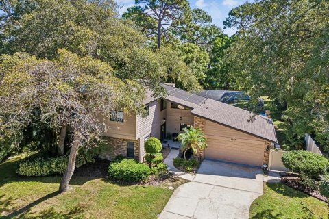 House in Palm Harbor, Florida 6 bedrooms, 241.36 sq.m. № 1377995 - photo 3