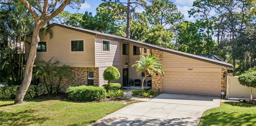 House in Palm Harbor, Florida 6 bedrooms, 241.36 sq.m. № 1377995
