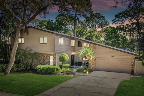House in Palm Harbor, Florida 6 bedrooms, 241.36 sq.m. № 1377995 - photo 2