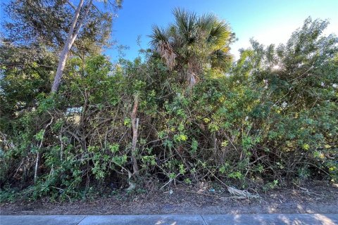 Land in Port Charlotte, Florida № 2165467 - photo 3