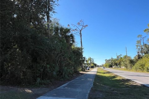 Land in Port Charlotte, Florida № 2165467 - photo 4