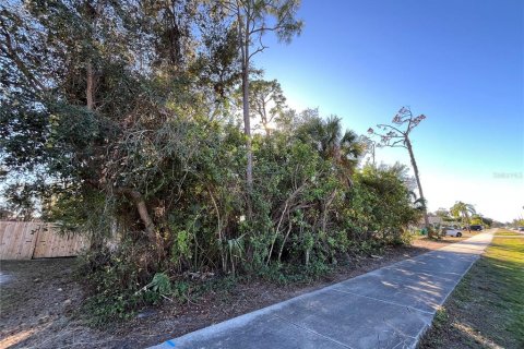 Land in Port Charlotte, Florida № 2165467