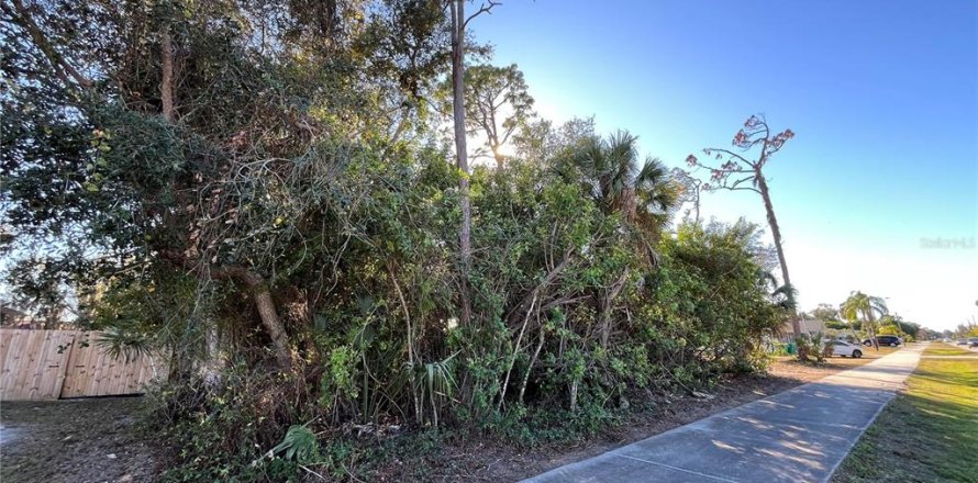 Land in Port Charlotte, Florida № 2165467