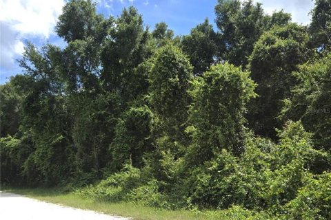Land in Webster, Florida № 2161447 - photo 5