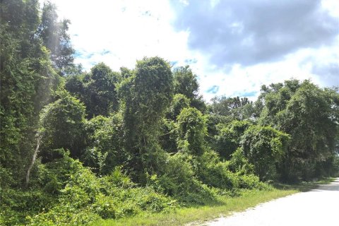Land in Webster, Florida № 2161447 - photo 4