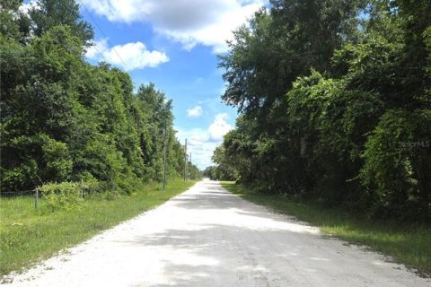 Land in Webster, Florida № 2161447 - photo 7