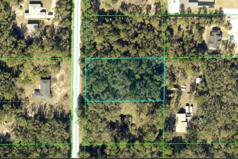 Land in Webster, Florida № 2161447